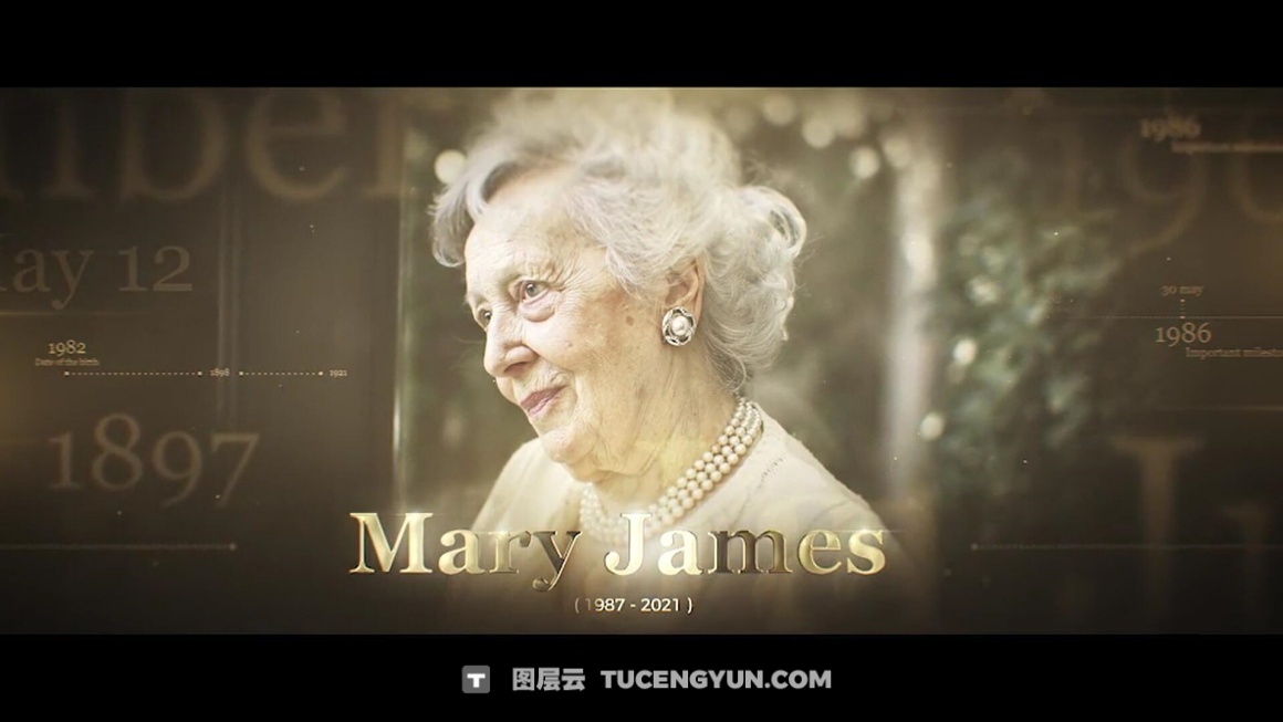 AE模板：大气史诗级金色历史财经战争纪录片时间线开场片头（15002）图层云