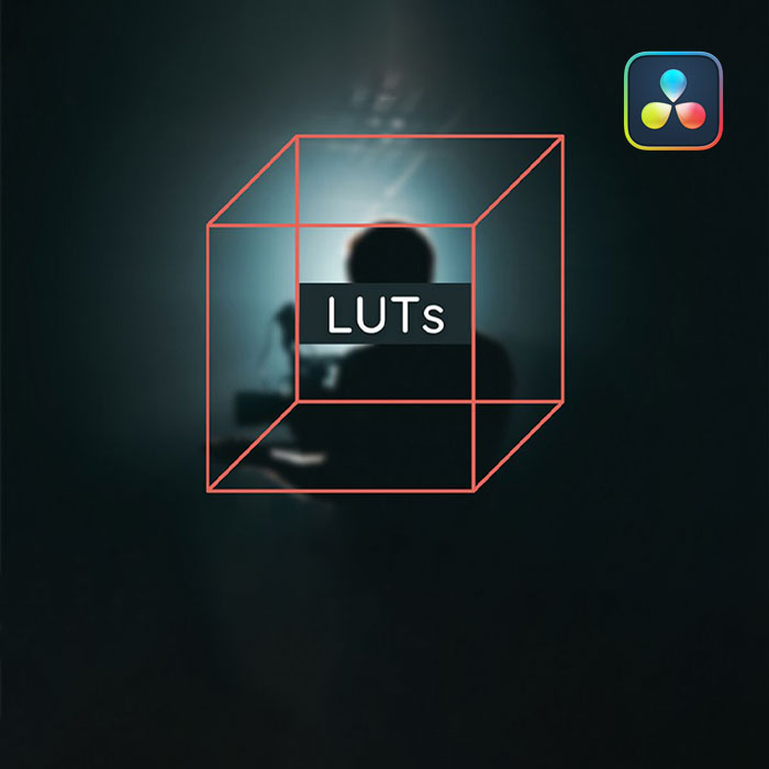 大师课程：如何构建设计电影LUT达芬奇视频课程 中文字幕 Demystify Color Show LUT Class（15007）