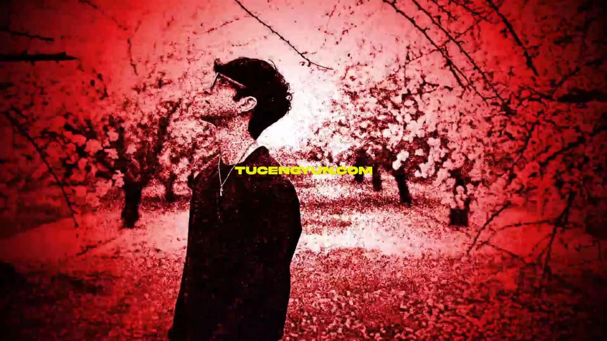 JAMOVFX Grunge Presets 15个嘻哈说唱风格仿旧垃圾摇滚音乐MV视觉效果预设包 支持AE/PR/FCPX/达芬奇（15028）图层云