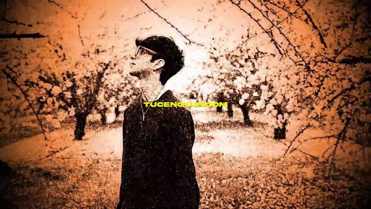 JAMOVFX Grunge Presets 15个嘻哈说唱风格仿旧垃圾摇滚音乐MV视觉效果预设包 支持AE/PR/FCPX/达芬奇（15028）图层云