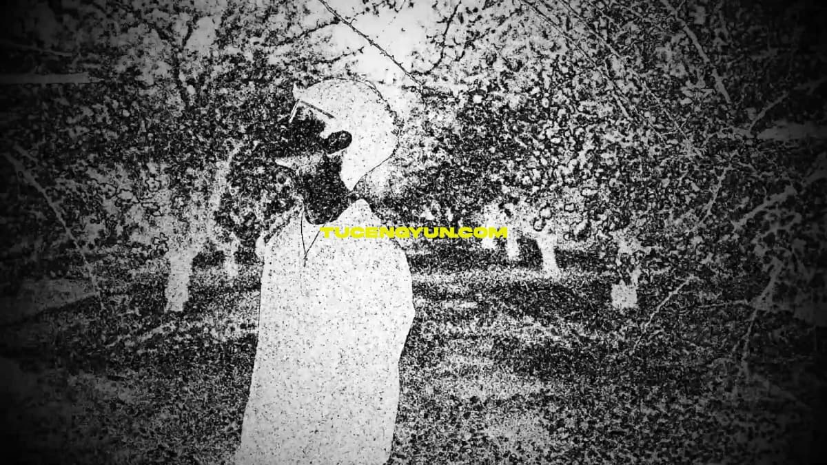 JAMOVFX Grunge Presets 15个嘻哈说唱风格仿旧垃圾摇滚音乐MV视觉效果预设包 支持AE/PR/FCPX/达芬奇（15028）图层云