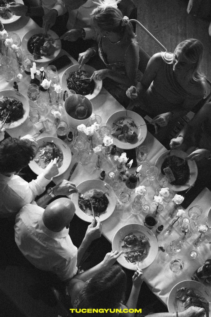 复古怀旧美学35毫米一次性胶片风格婚礼人像摄影调色LR预设 The Disposable Film Preset Pack by Zach&Grace（15046）图层云